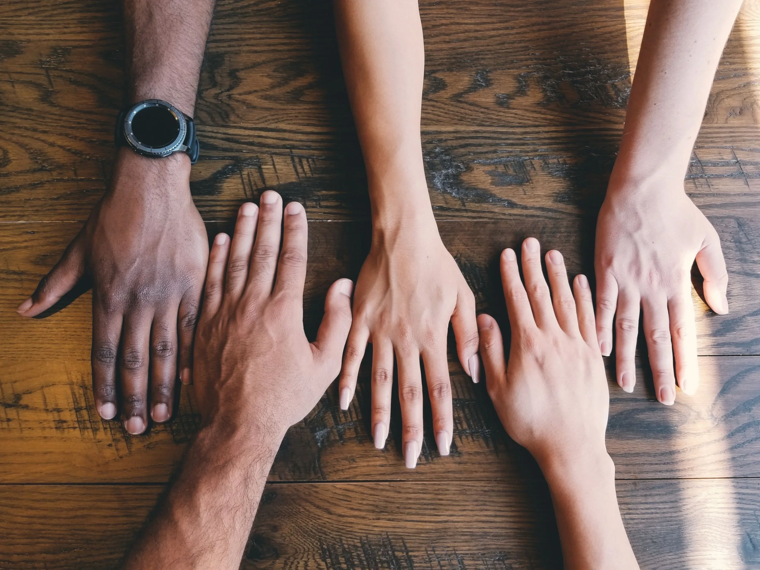 Diverse Hands Photo