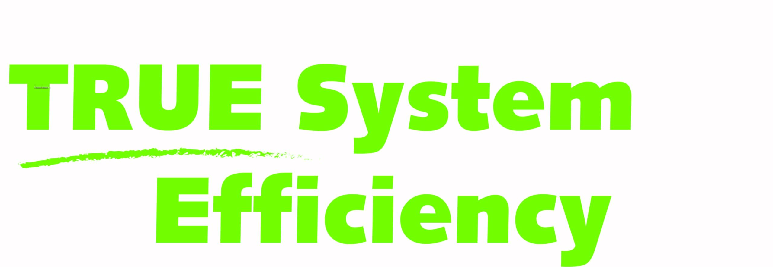 True System Efficiency tagline – green True System Efficiency Tagline